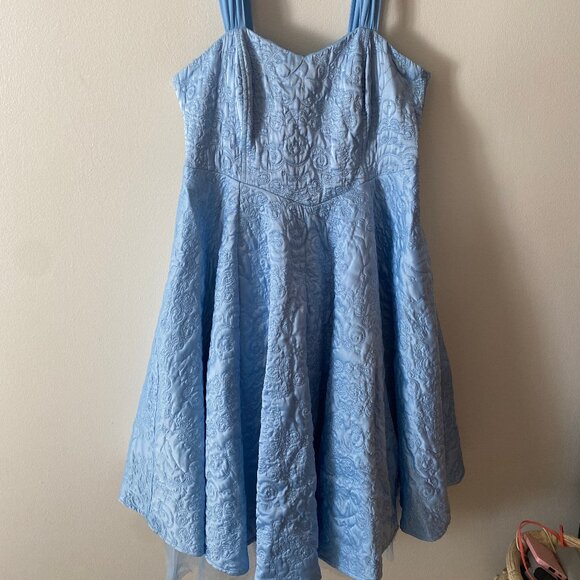 Cinderella Torrid Hi Low Dress - Picture 1 of 5